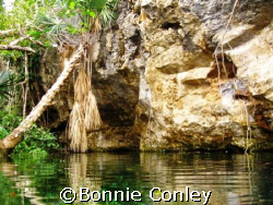 Chac Mool Cenote at Riviera Maya by Bonnie Conley 